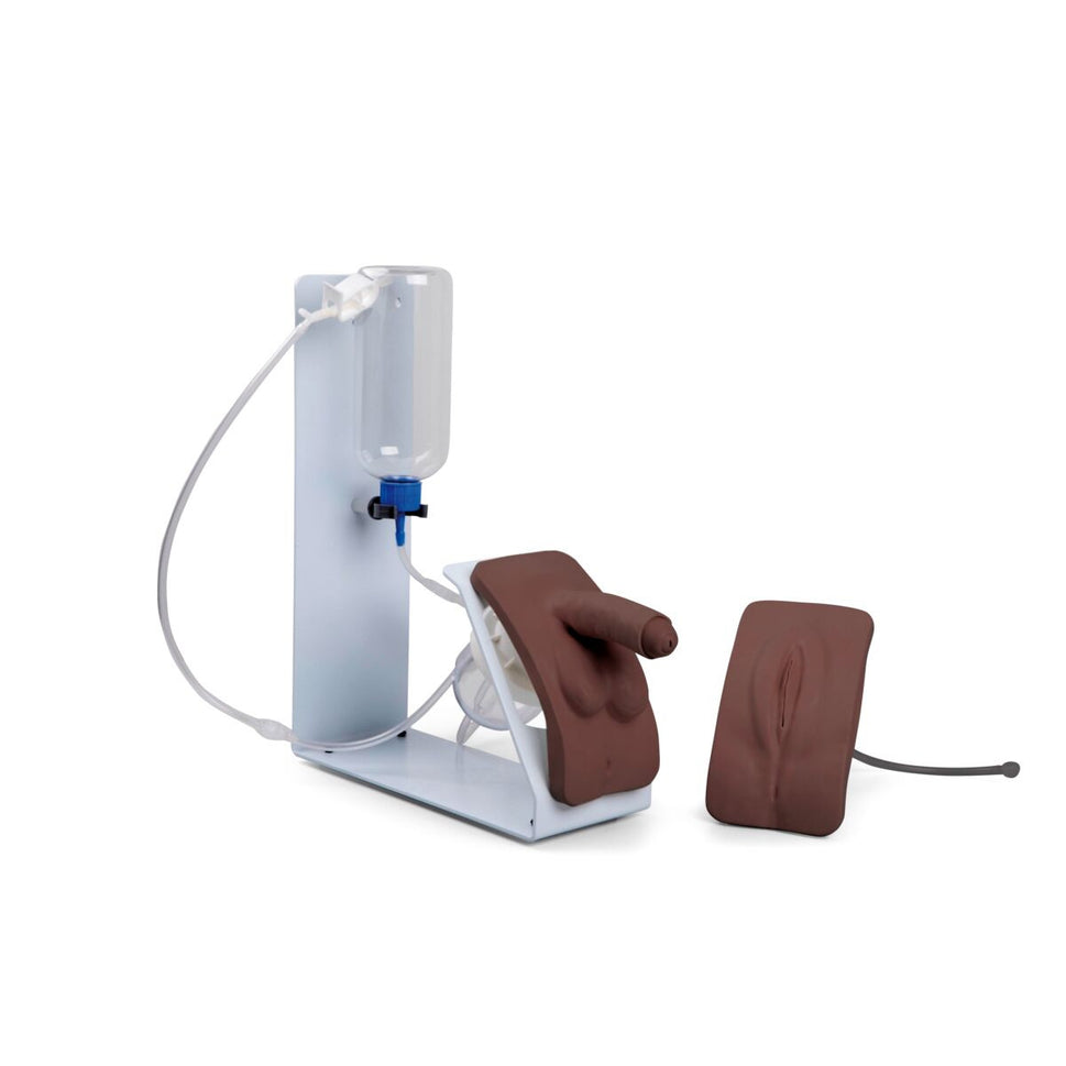 Catheterization Simulator BASIC Set (Male and Female)