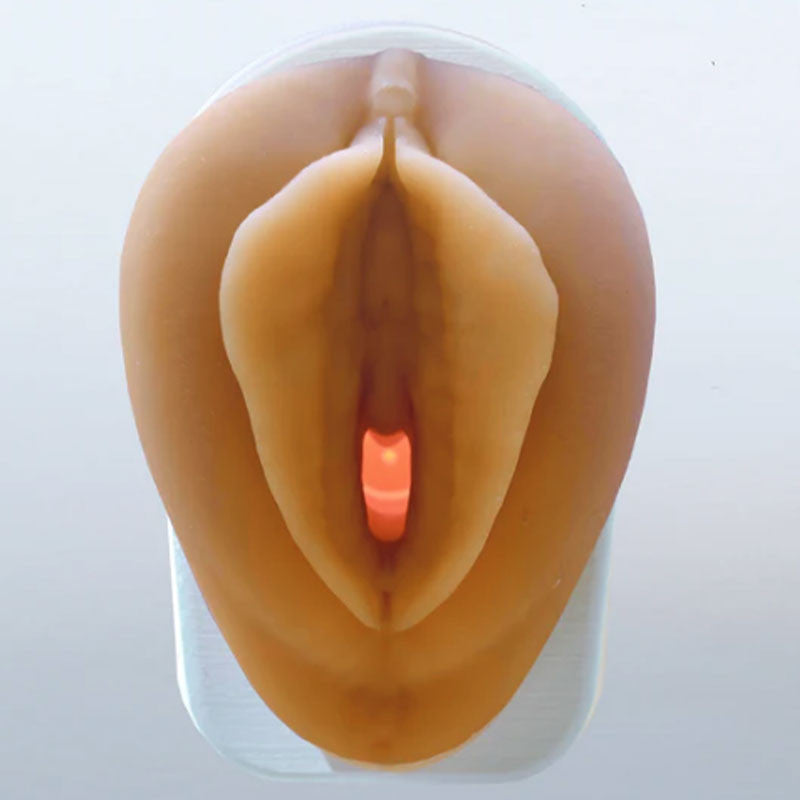 Venus Pelvic Health Model