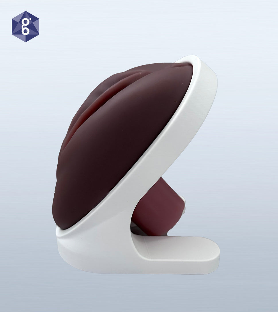 Venus Pelvic Health Model