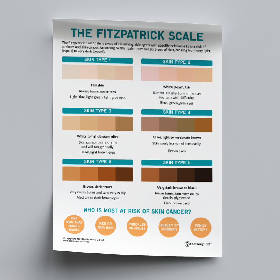 The Fitzpatrick Skin Cancer Scale (Printable PDF)