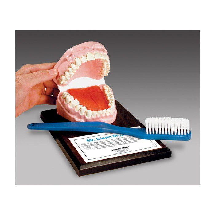 Mr. Clean Mouth with Giant Toothbrush Set