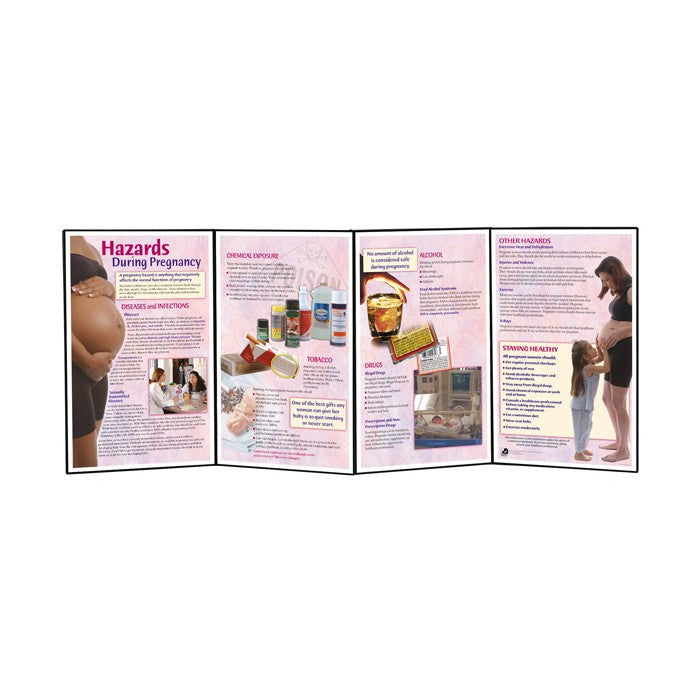 Hazards During Pregnancy Folding Display