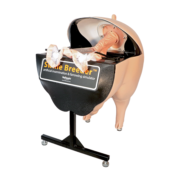 Swine Breeder Pig Artificial Insemination Simulator 44010400