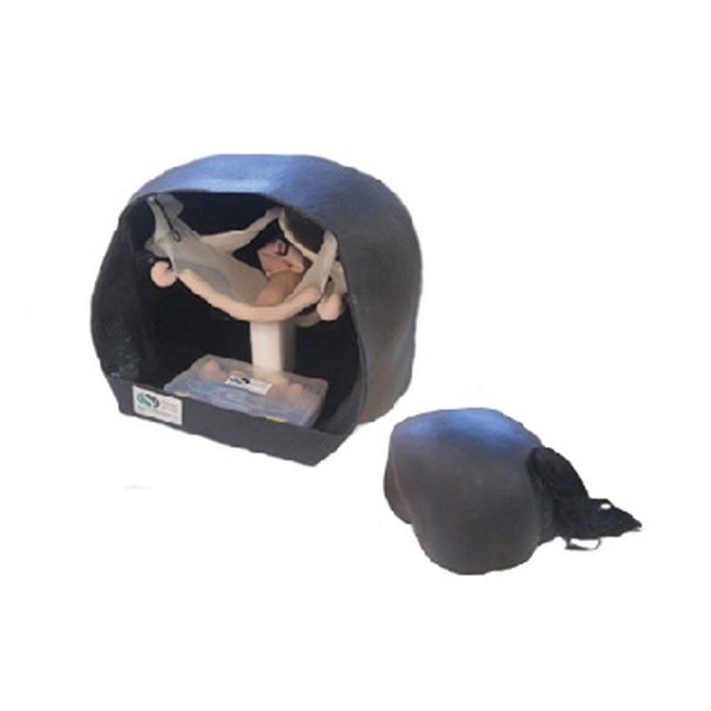 Equine Theriogenology Model