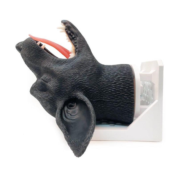 Lateral View  Of Canine Intubation Model by Erler Zimmer