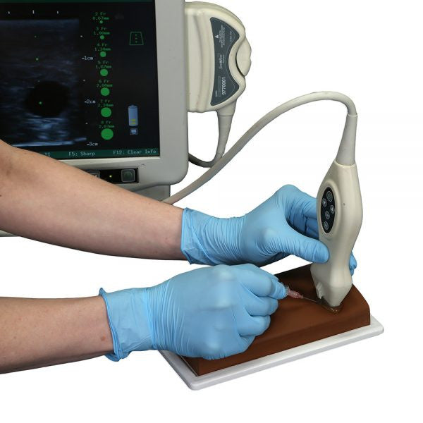 Vascular Access Ultrasound Phantom Needle Placement