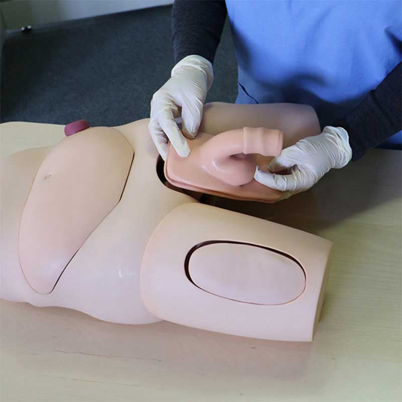 Vinyl Male Catheterisation Simulator Demonstration