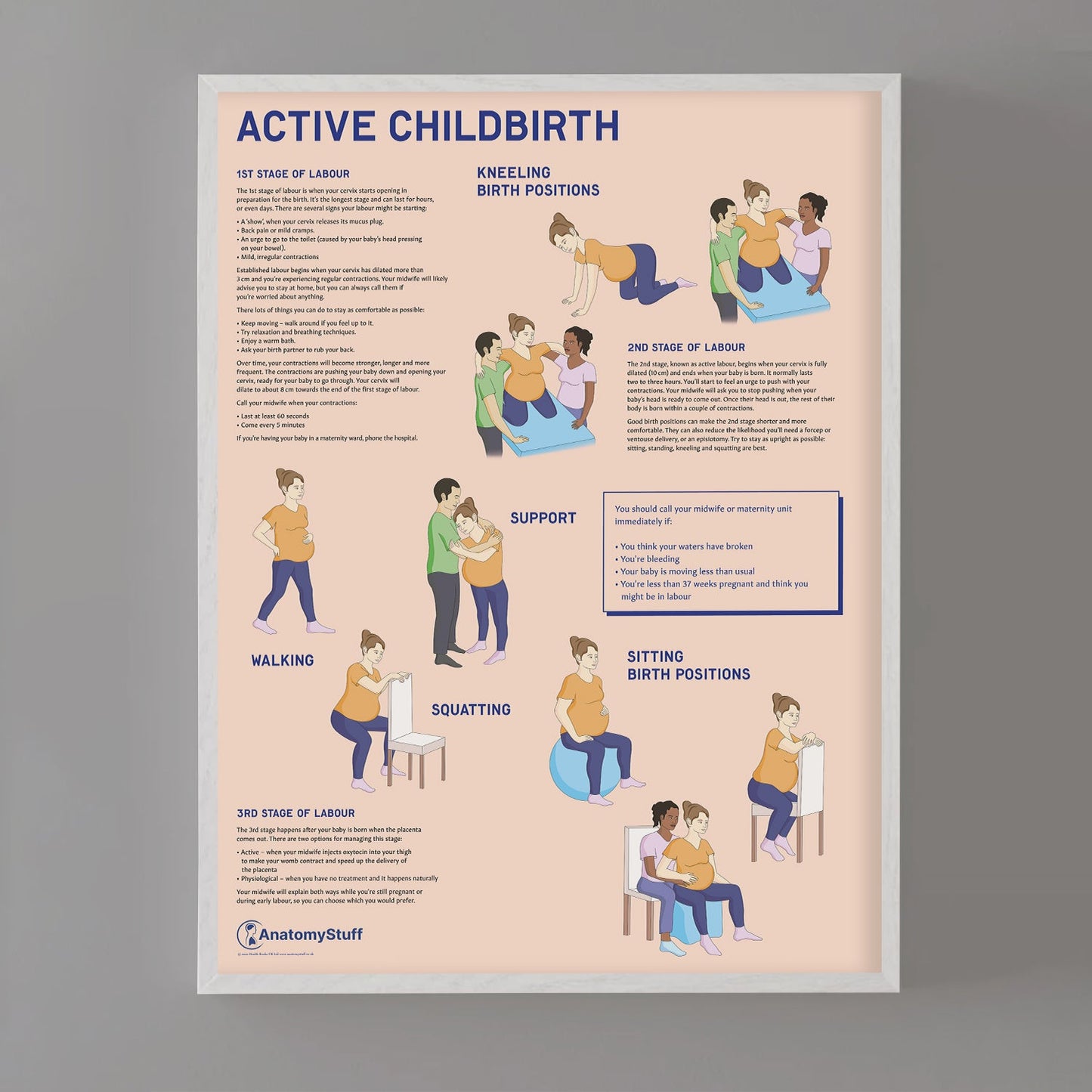 Active Childbirth (Positions for Labour) Chart / Poster