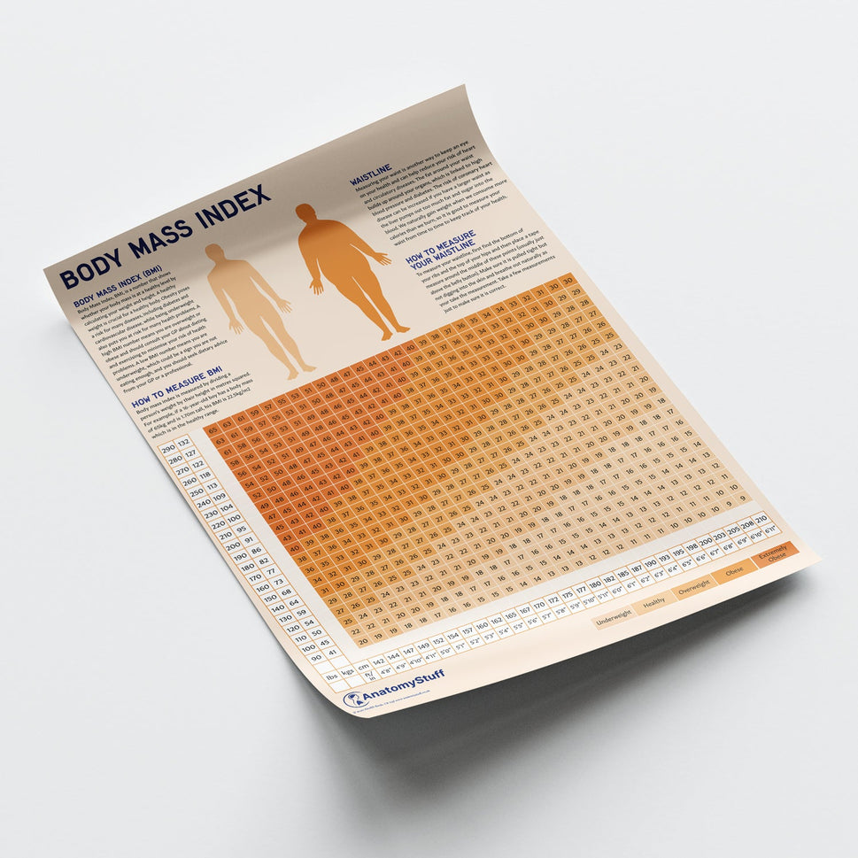 Body Mass Index (BMI) Chart / Poster