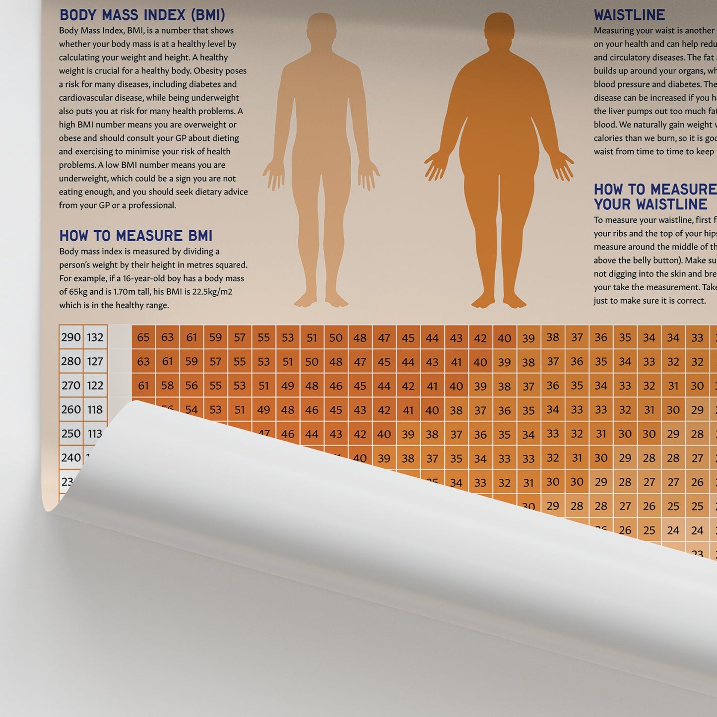 Body Mass Index (BMI) Chart / Poster