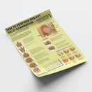 Switch How to Perform Breast Self Examination (BSE) Chart / Poster 3 image