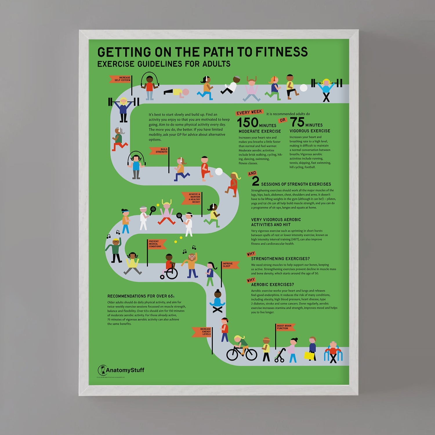 Exercise Guidelines for Adults Chart / Poster