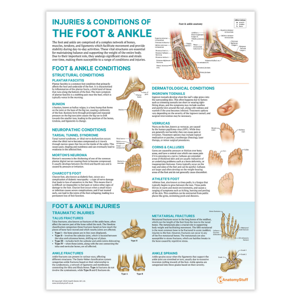 Peripheral Joint 6 Chart Collection