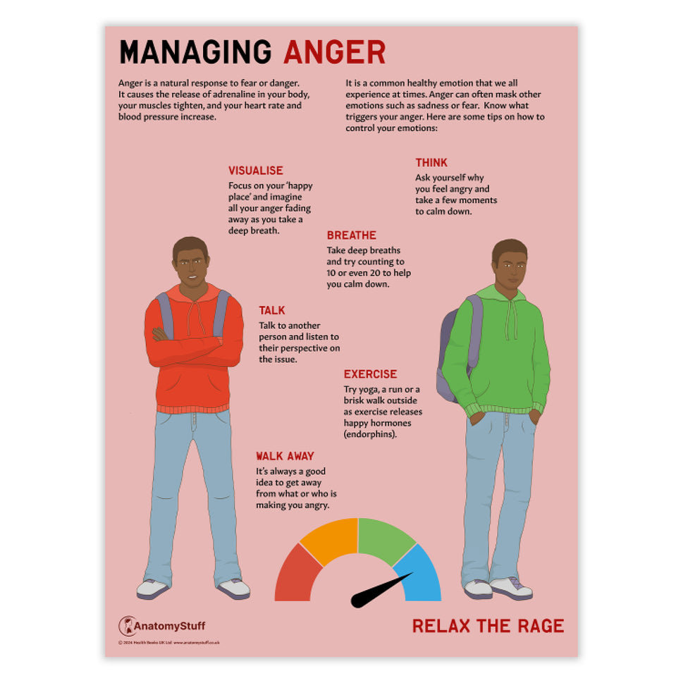 Managing Anger Chart / Poster