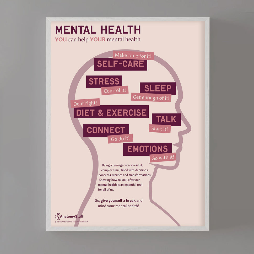 Mental Health: You Can Help Your Mental Health Chart / Poster