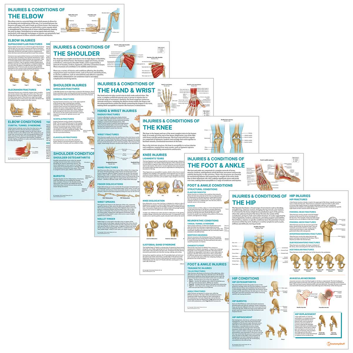 Peripheral Joint 6 Chart Collection