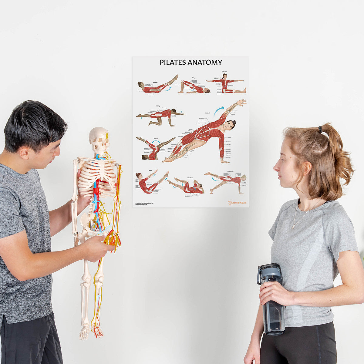 Half Size Skeleton Physiotherapist Instructor Pilates Anatomy Chart