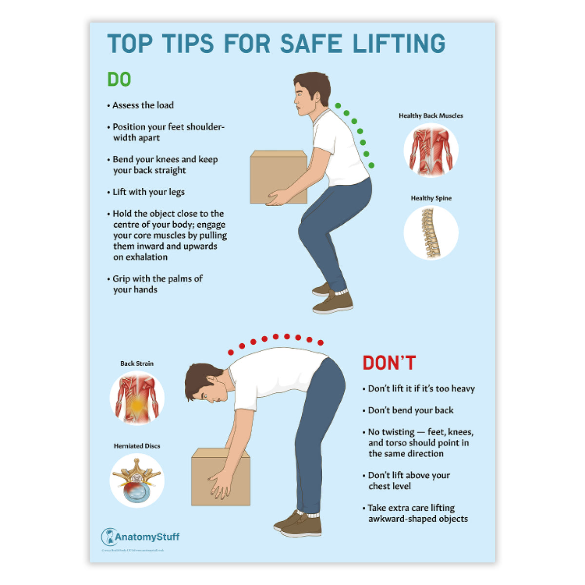 Top Tips For Safe Lifting Poster | Manual Handling Chart – AnatomyStuff